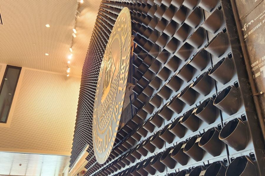 GrowUp's Tray System on Tampa living wall