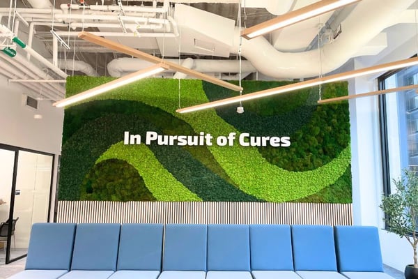 multi colored green moss wall with signage in a waiting room