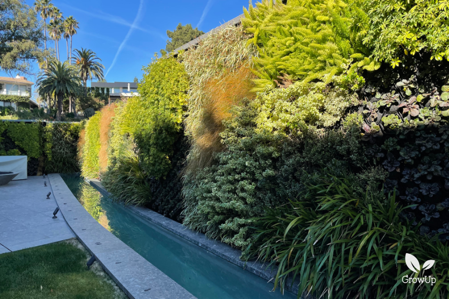 A lush, sprawling outdoor living wall filled with vibrant green plants running parallel to a luxury residential water feature under a blue sky.