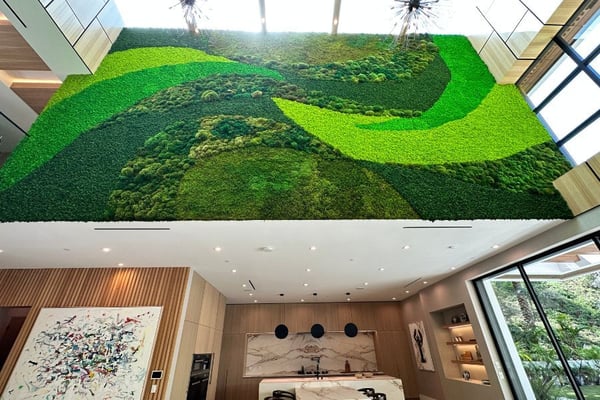 multi colored green moss wall above a kitchen living space