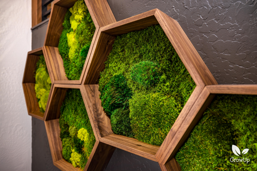 Perspective view of hexagon shaped wooden frames filled with textured green preserved moss arranged in a honeycomb pattern on a dark office wall.