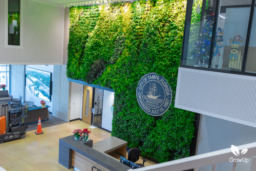 Tampa Florida greenwall
