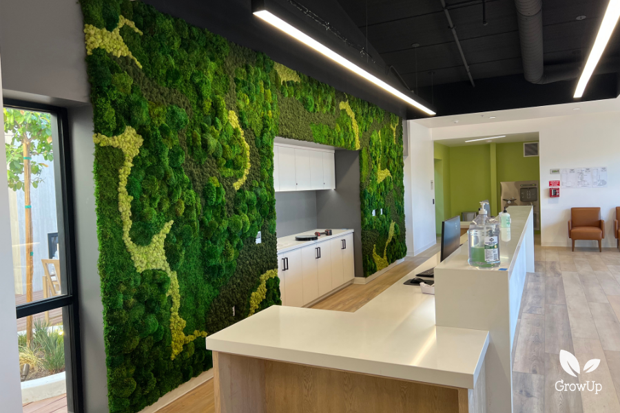 An office area featuring a large, textured green and yellow moss installation covering the wall behind a white service counter.