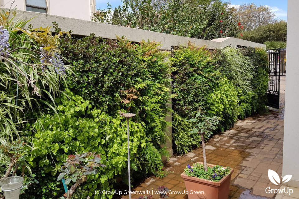 A flourishing outdoor greenwall