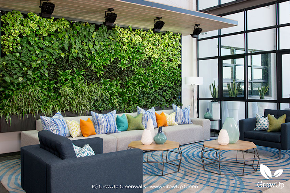 An indoor greenwall as a backdrop to a living room with couches