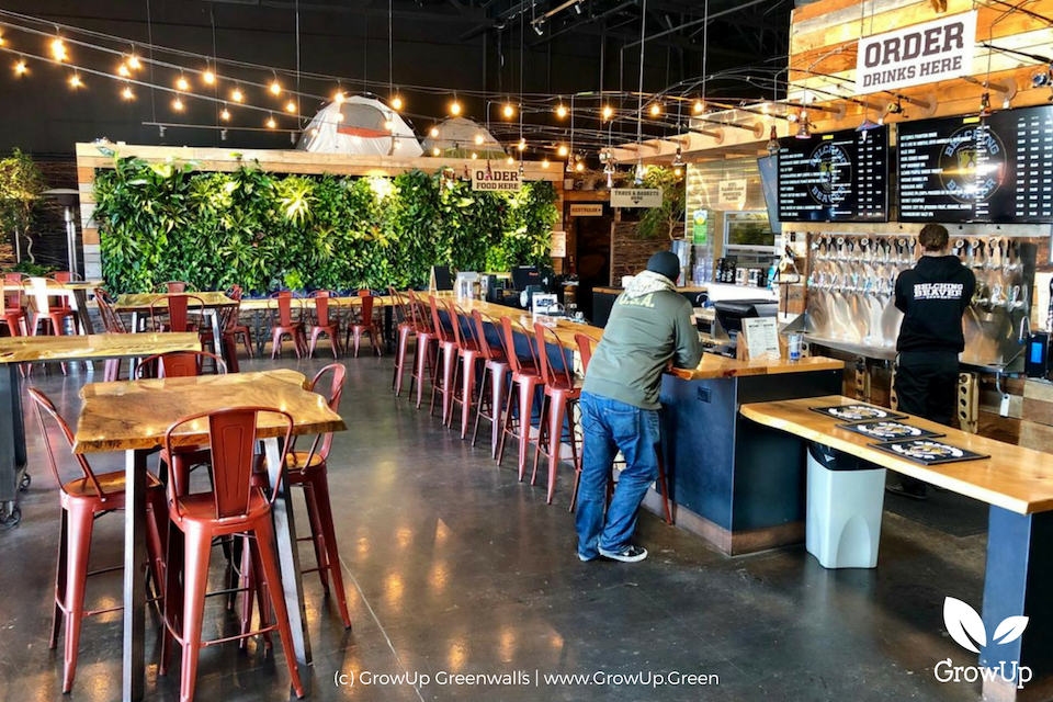 A greenwall as the backdrop for the restaurant, Belching Beaver. Hightop tables fill the room and beer on tap is being filled at the bar by an employee.