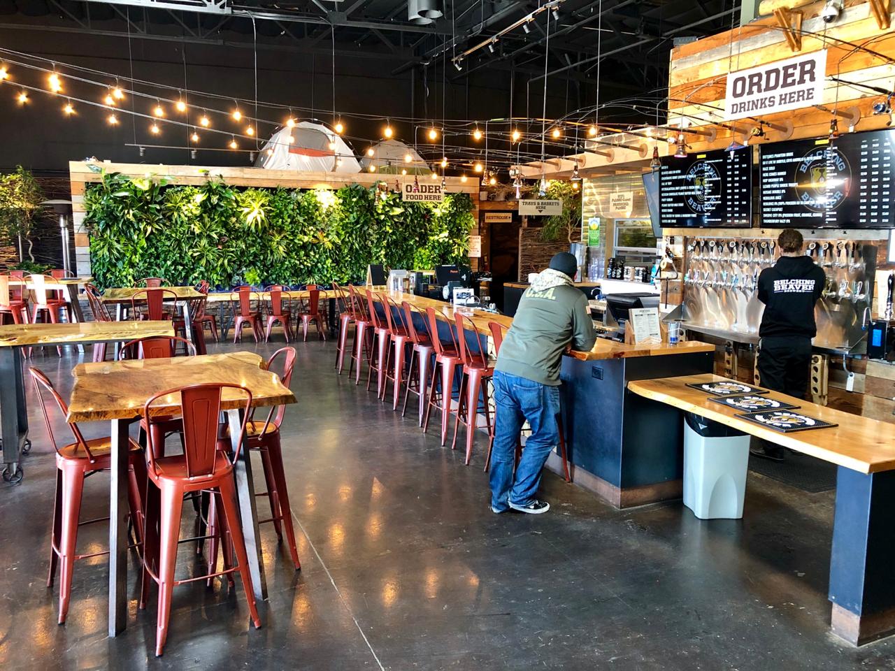 Living wall at Belching Beaver photographed nearly 18 months after installation