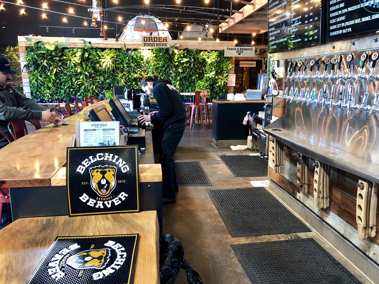Established planting on the Belching Beaver living wall nearly 18 months after installation