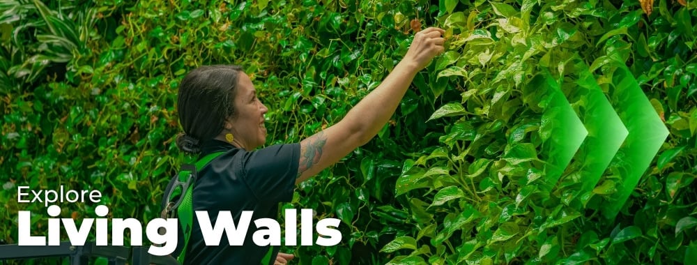 Explore Custom Living Walls