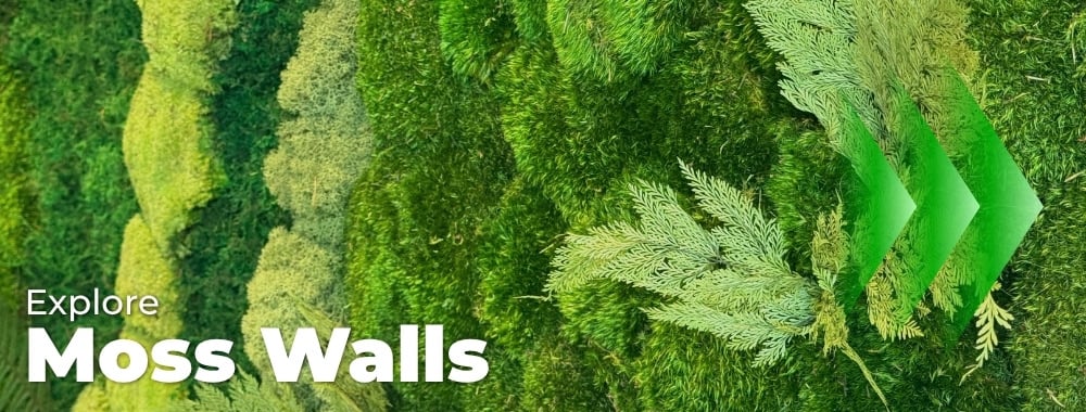 Explore Custom Moss Walls and Moss Art