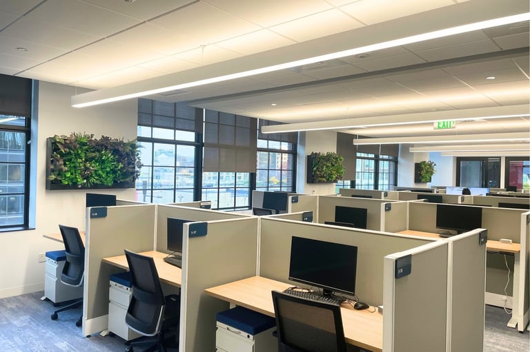 Replica plant greenwall units with black frames hung between the windows of an open-plan office