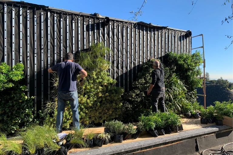 Two installers hanging plants on the rails, with staged plants grouped by species along the base