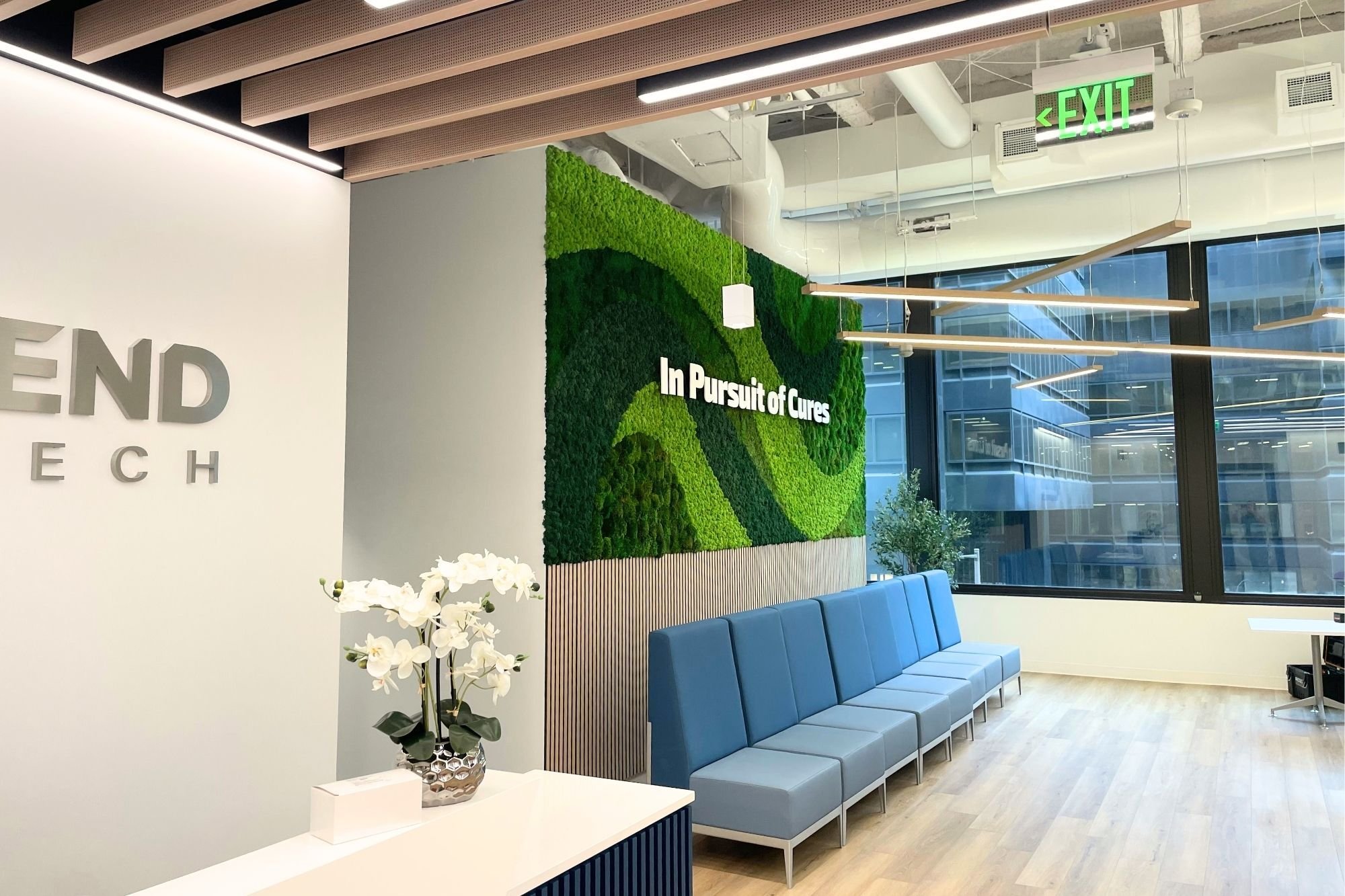 Preserved moss feature wall with “In Pursuit of Cures” lettering in a biotechnology company’s office lobby