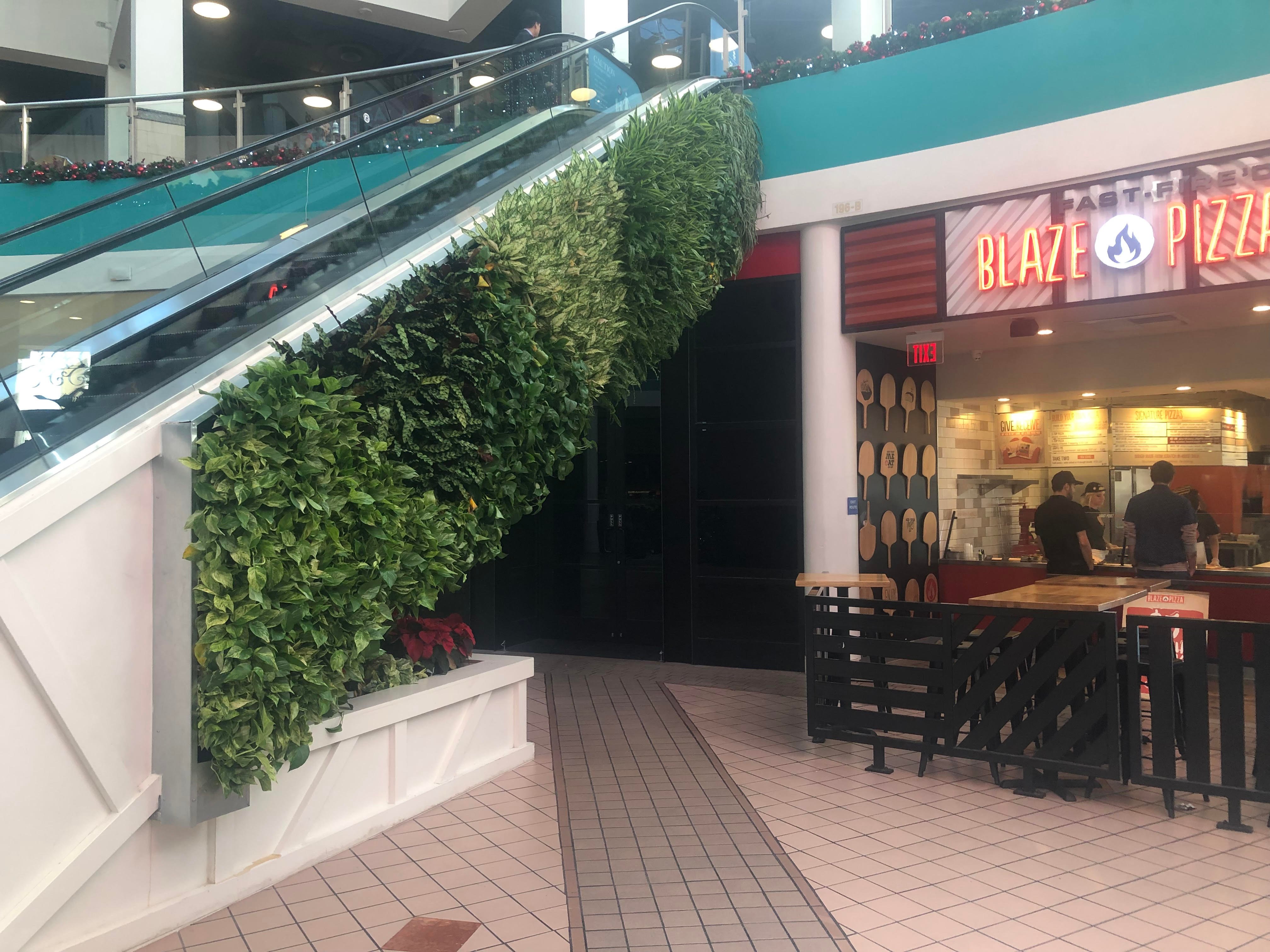Living wall installed along the side of a shopping mall escalator in Southern California