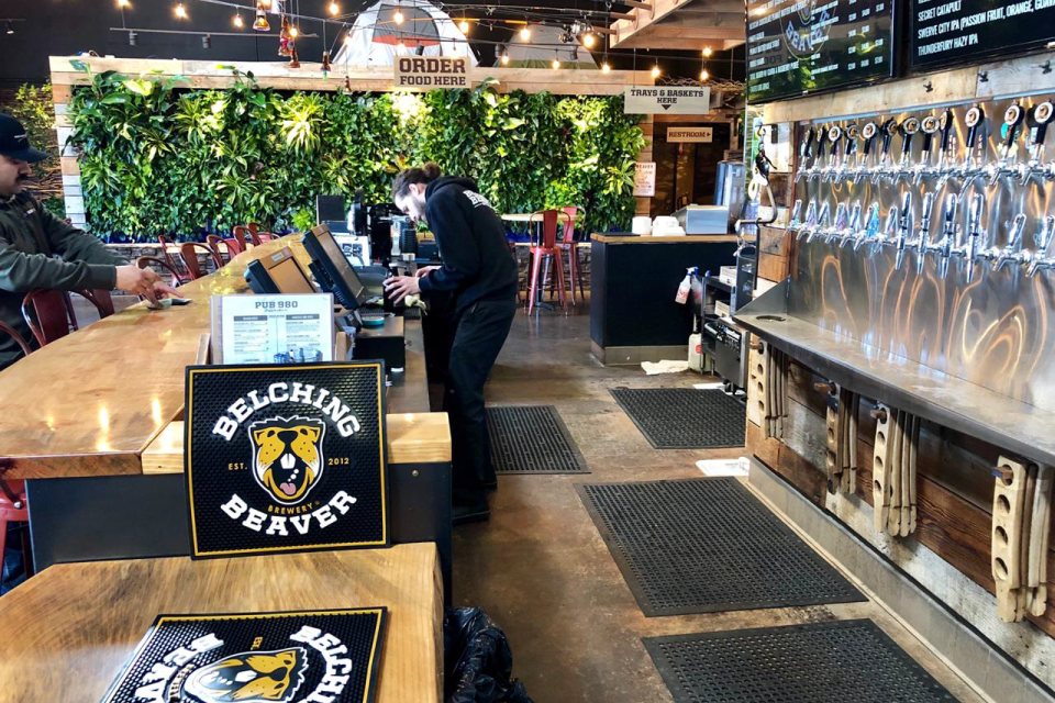 Custom living wall above the bar at the Belching Beaver pub in San Diego, with the Belching Beaver logo in the foreground
