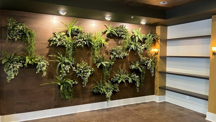 Case Study | A New Take on Faux Greenwalls