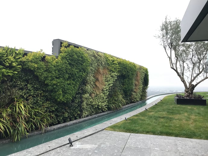 Greenwall After Installation