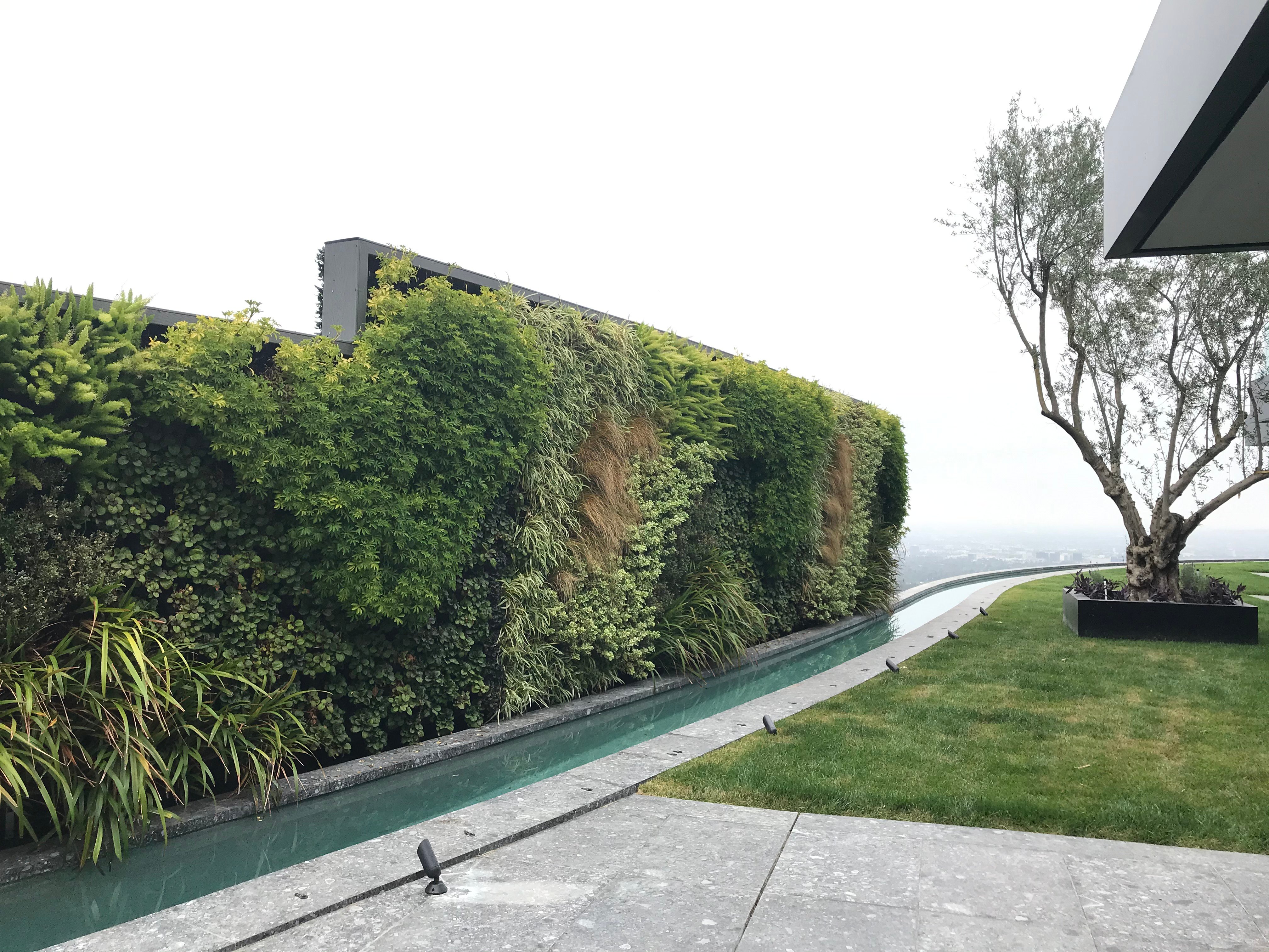 Greenwall After Installation