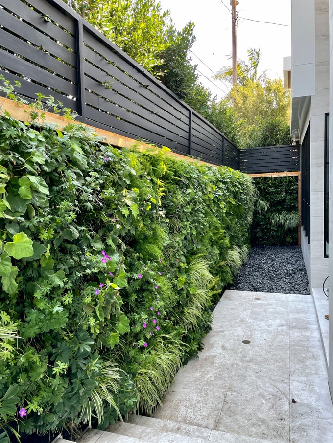 Living Wall on a fence next to a house
