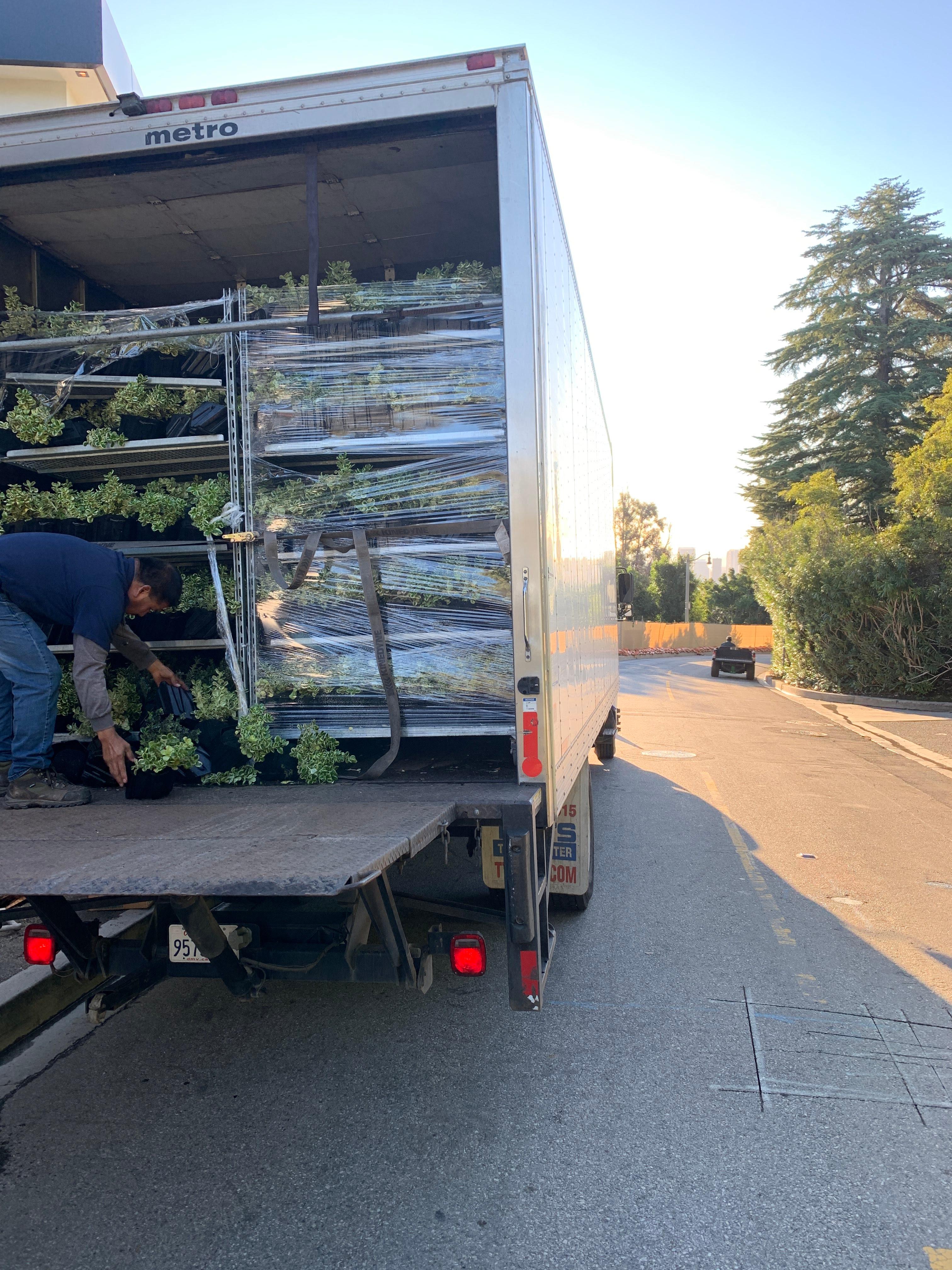 Contract-grown living wall plants arriving on nursery racks in the back of a delivery truck