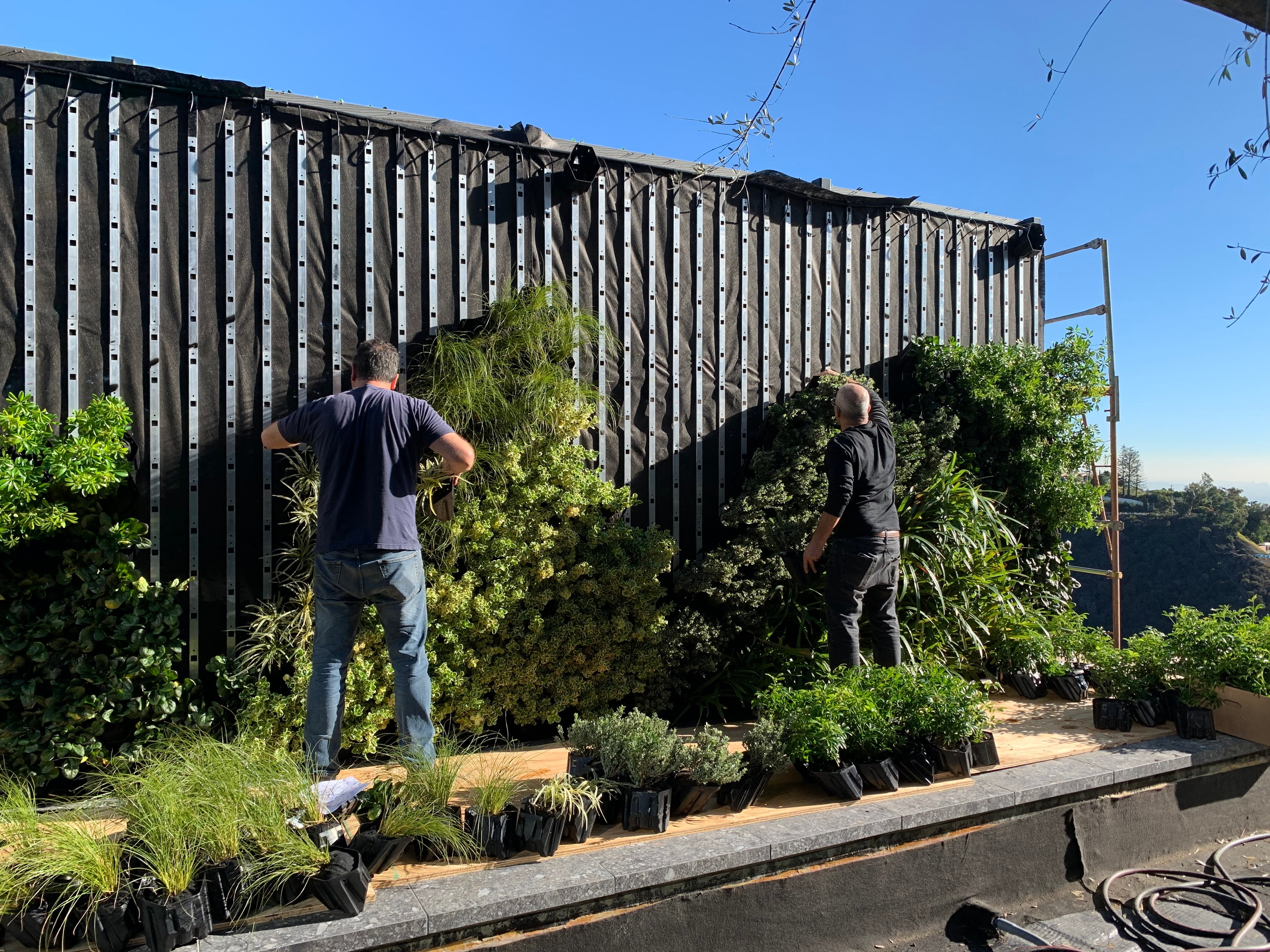 Two installers hanging plants on the rails, with staged plants grouped by species along the base