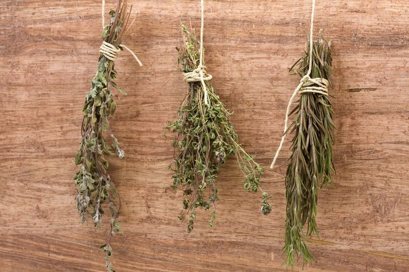 Dried herbs hanging upside down