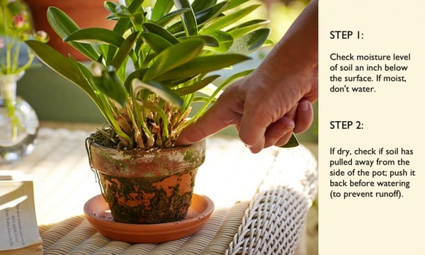 Inforgraphic showing how to perform a moisture test