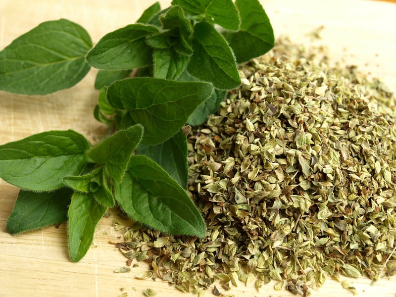 GrowUp Vertical Farming | Oregano