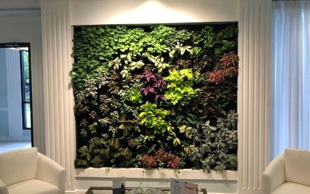 Living Wall 640x400