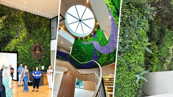 Moss Wall vs Living Wall vs Faux Wall: How to Spec the Right One