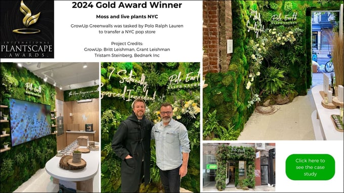 TPIE 2024 Gold (1)