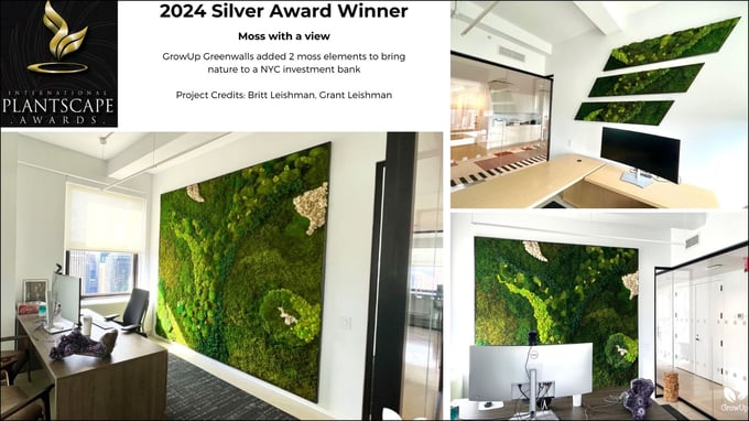 TPIE 2024 Gold (2)