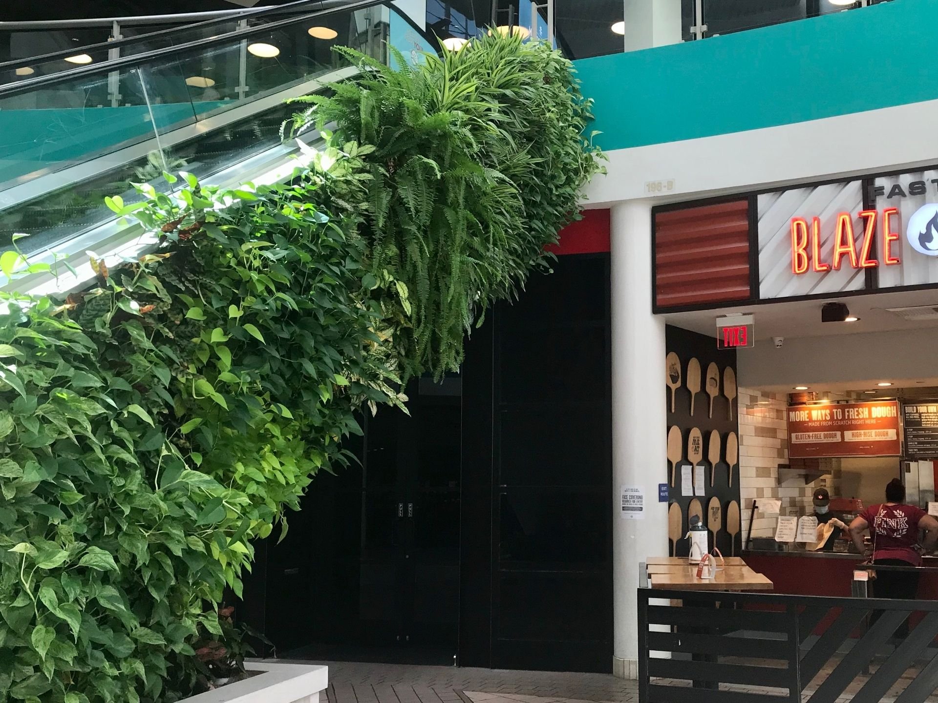 Completed living wall on the mall escalator, fully planted