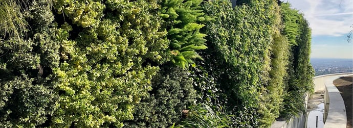 LA Luxury Green Walls: Award-Winning Designs Redefining Modern Homes