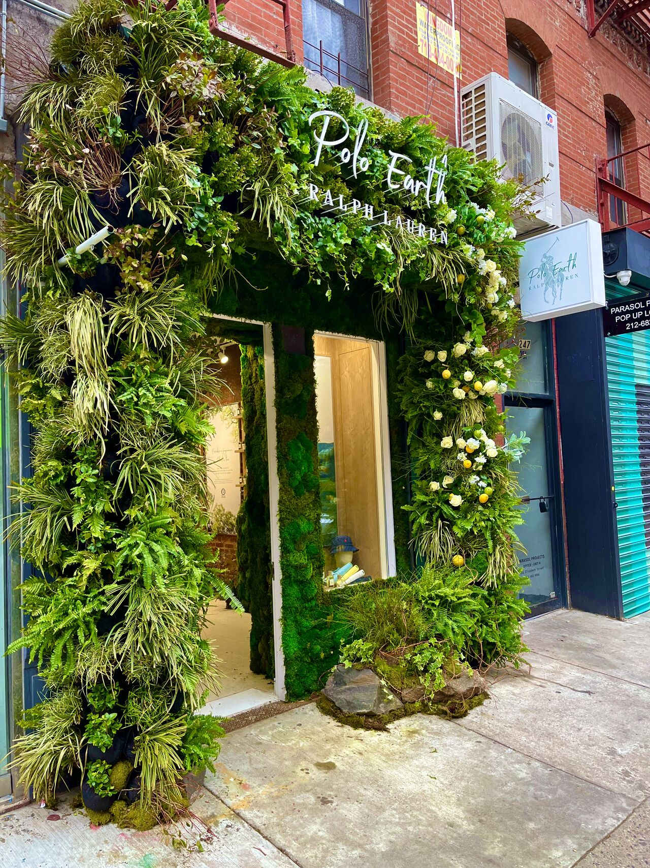 Living wall planted with ferns on the exterior of the Ralph Lauren pop-up store in New York