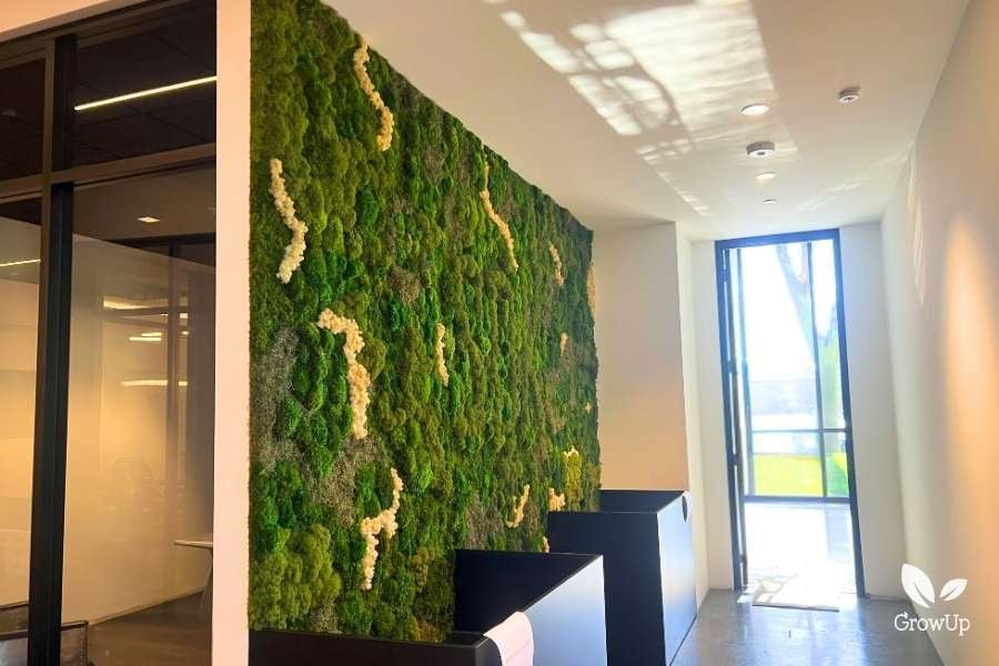 A bright office entryway featuring a large wall covered entirely in textured green moss with a few scattered veins of cream-colored moss.