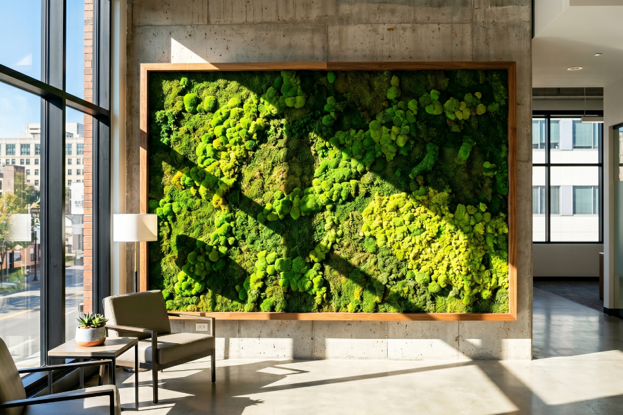 Large rectangular preserved moss wall with a wooden frame installed on a concrete wall in an office lobby, showing direct sunlight casting shadows across the vibrant green moss.