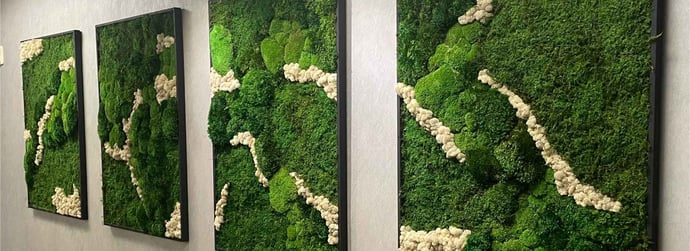 Biophilic Design Trends for 2026: The Future of Human-Centred Spaces