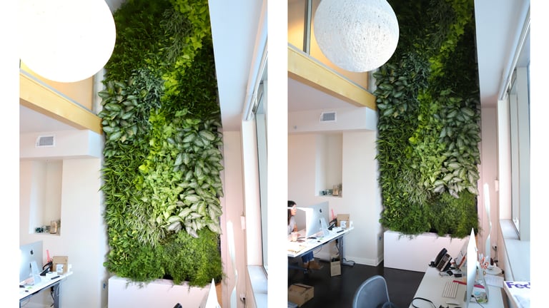 Two views of the 17-foot living wall rising through the double-height space of the office