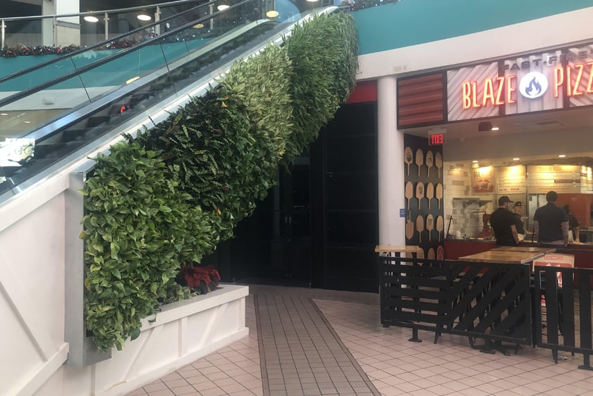 Living wall planted along the side of the escalator in the mall food court