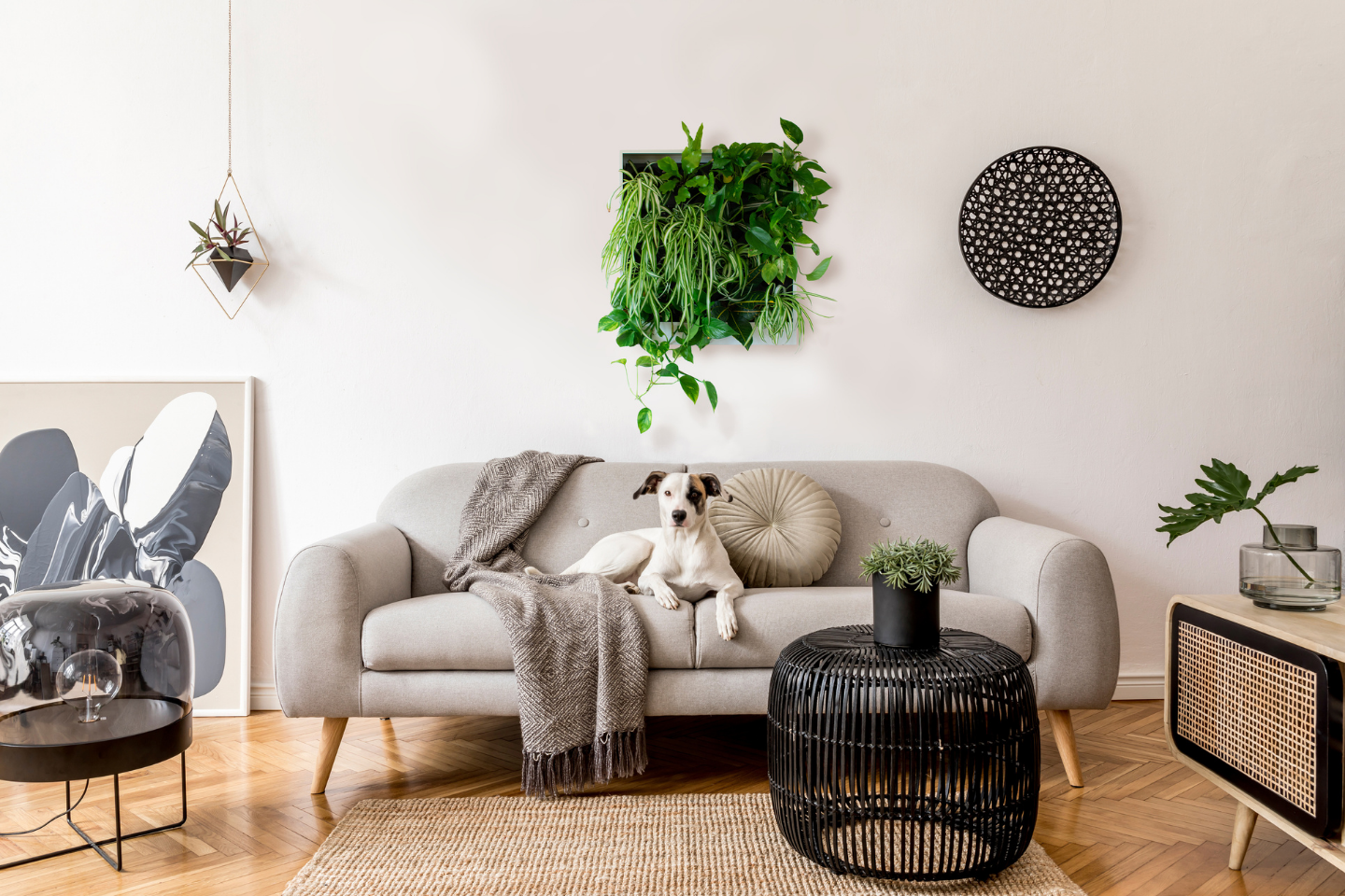 What Living Wall Is Best For You?