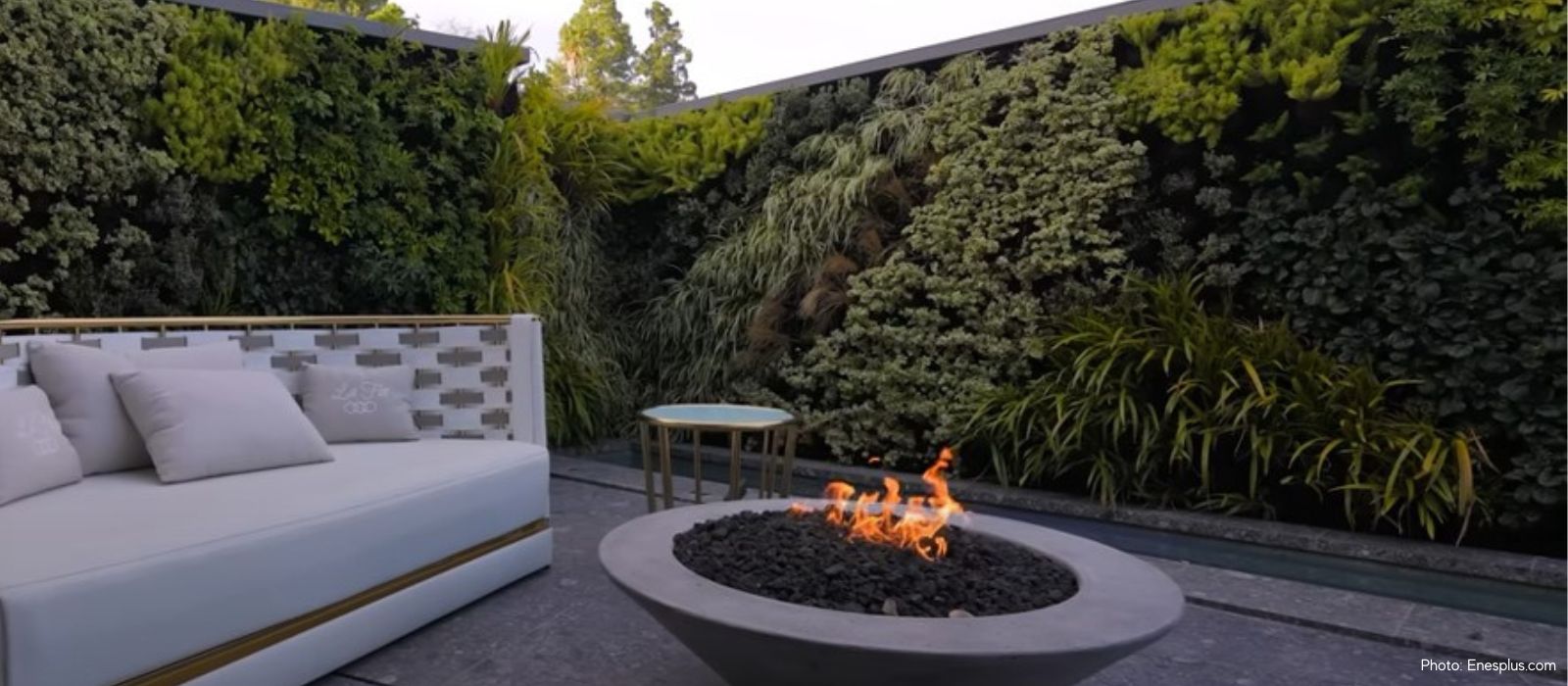 Case Study | Biggest Living Greenwall in Bel Air
