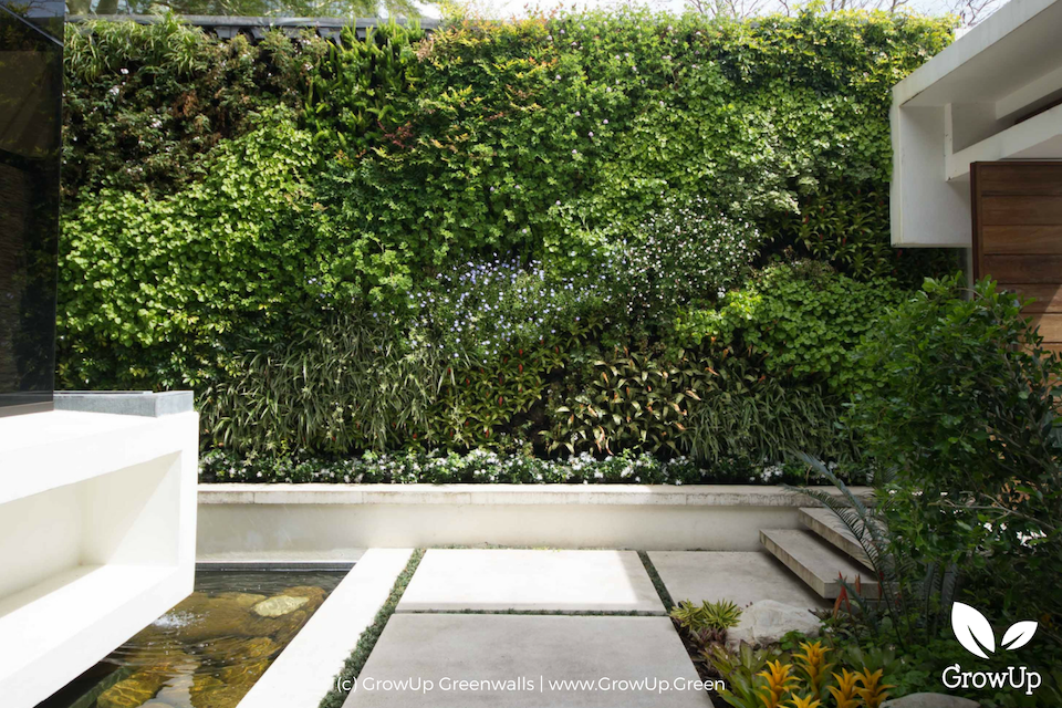 Seasonal Adjustments For Your Outdoor Greenwall