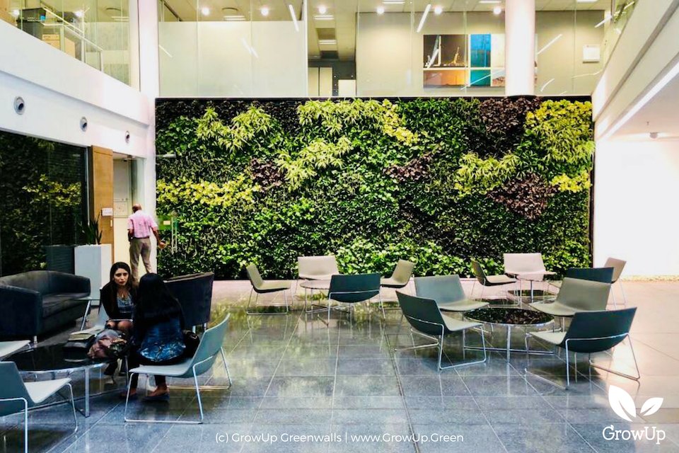 Moss Wall - Round – GrowUp Greenwalls