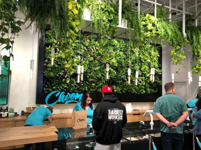 indoor large store living wall 