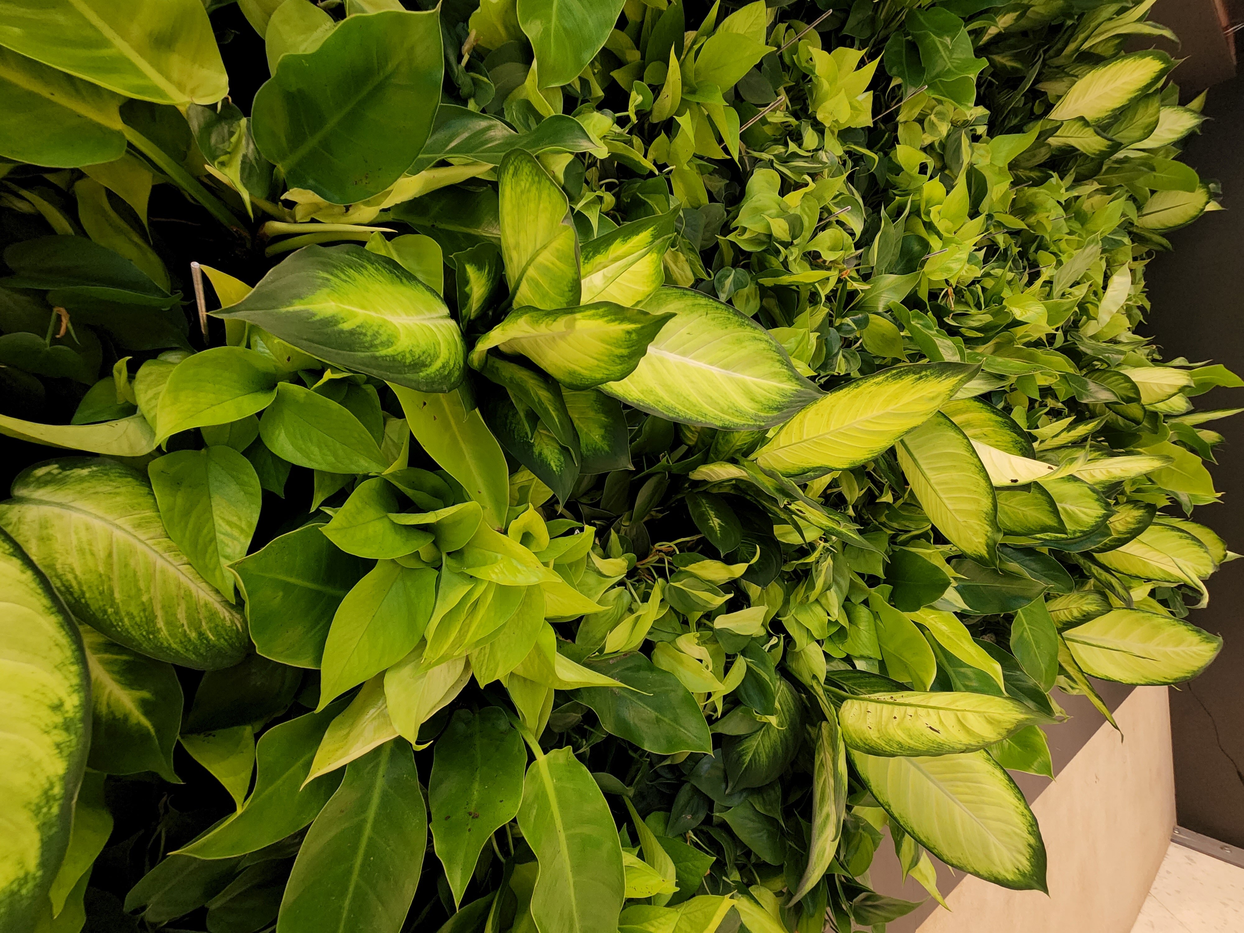 Guest Blog | Indoor Air Quality: Expert Insights for a Healthier Home Environment