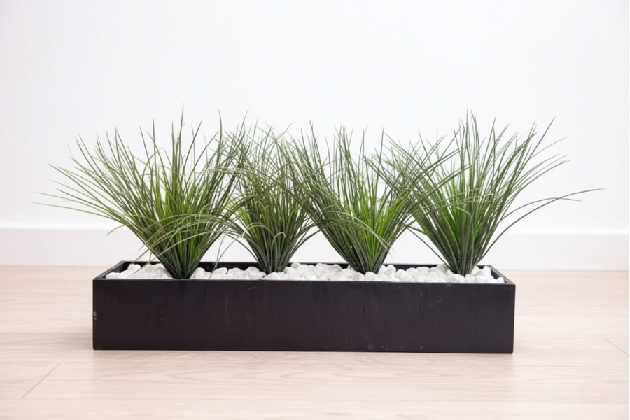 Vanilla Grass