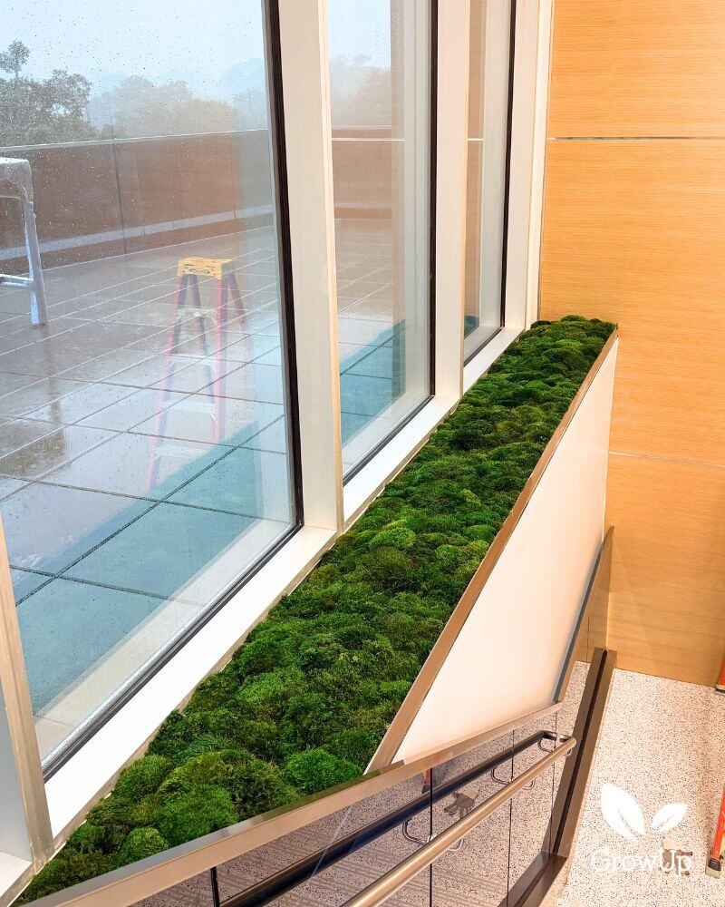 Moss Banister