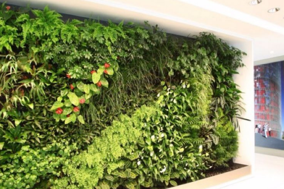 5 Common Rookie Errors New Urban Farmers Make [and How to Avoid Them]