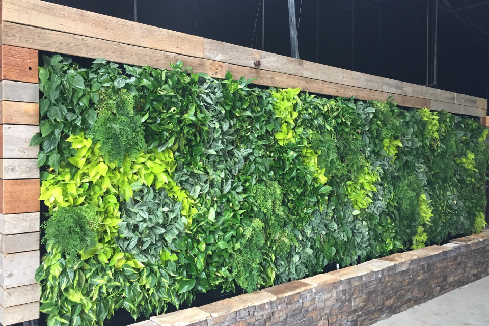 50 Shades of Green: Why You Should Paint Pictures With Plants